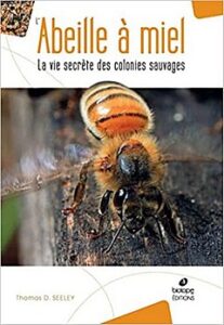 Lire la suite à propos de l’article L&rsquo;abeille à miel, la vie secrète des colonies sauvages