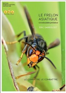 Lire la suite à propos de l’article Le frelon asiatique