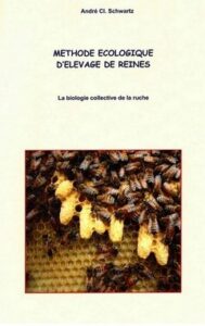 Lire la suite à propos de l’article Méthode écologique d&rsquo;élevage des reines