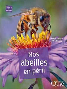 Lire la suite à propos de l’article Nos abeilles en péril