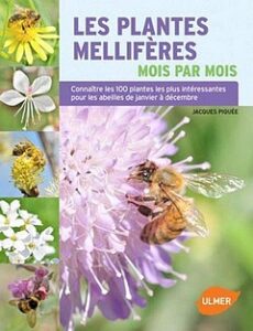 Lire la suite à propos de l’article Les plantes mellifères mois par mois